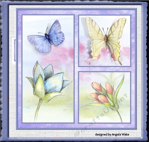 Butterflies and flowers