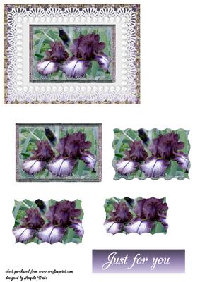 Iris and Pearls Just for You