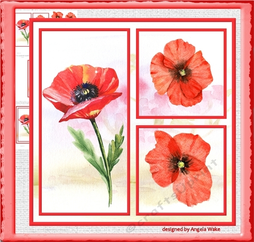 Wild poppy 7x7 card