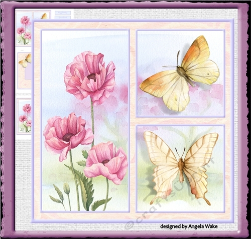 Pink poppy and butterfly 7x7