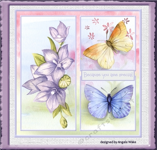 Warm flowers of summer
