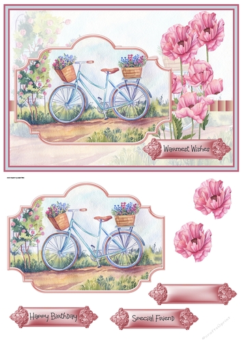 Bicycle and poppy