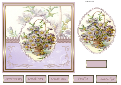Basket of purple daisy