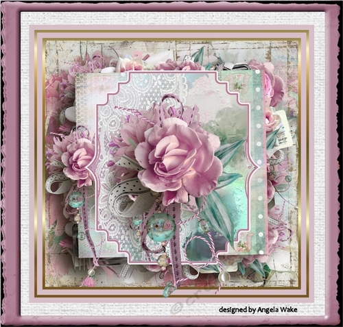 Pink rose
