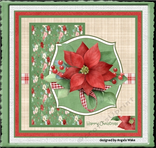 Red poinsettia