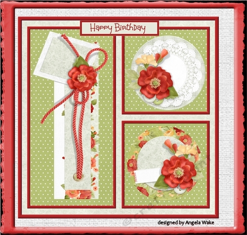 Poppies 7x7 card