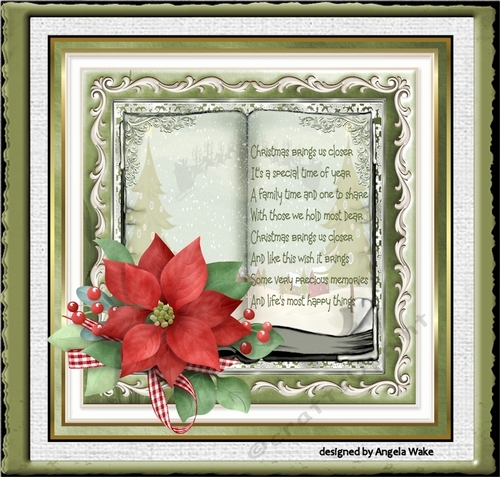 Red poinsettia and berry book theme