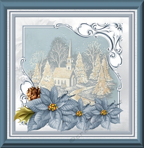 Church and blue poinsettia