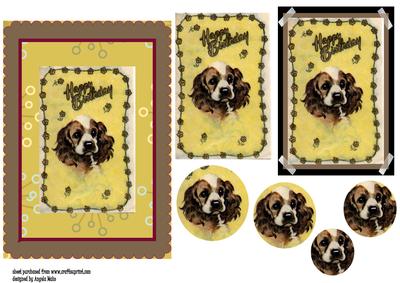 Cute Spaniel