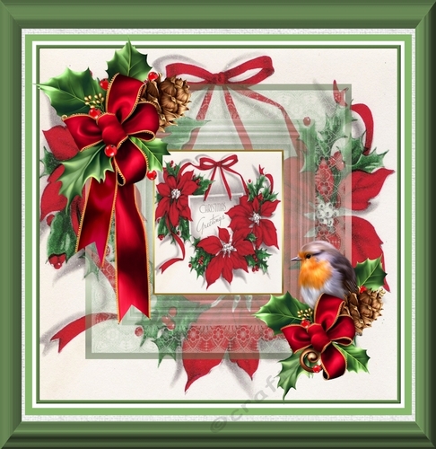 Christmas poinsettias