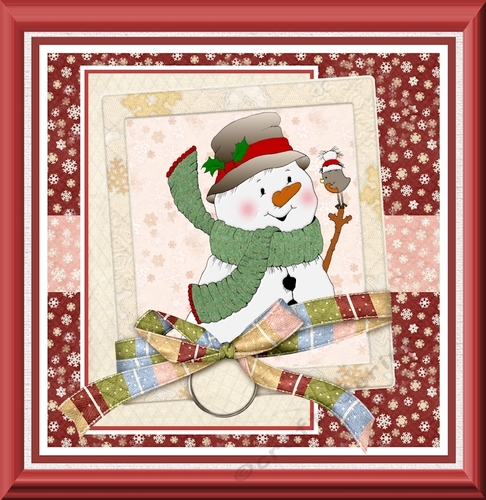 Snowman and the robin