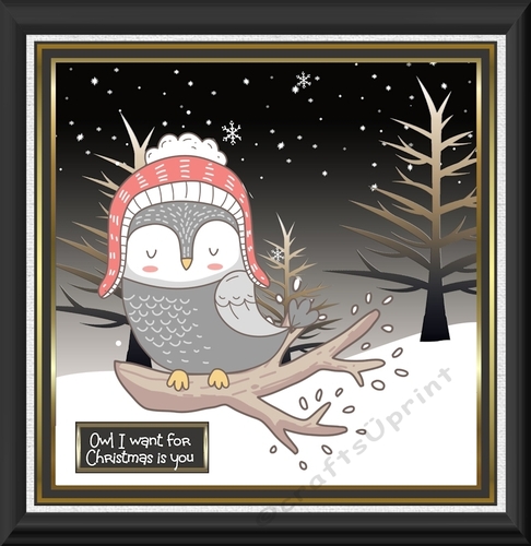 Owl I want  for Christmas