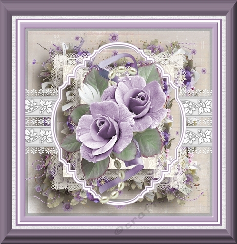Lilac rose and lace