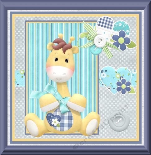 Baby Giraffe