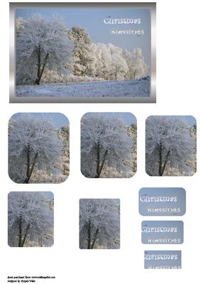 Snowy Trees and Blue Skies