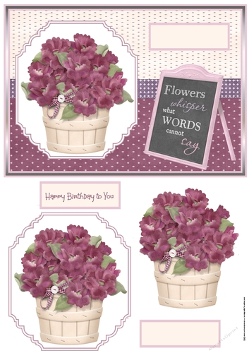 Flower pot of violas