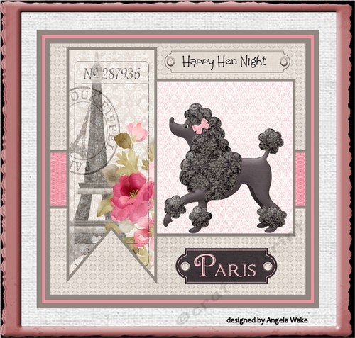 A day in Paris