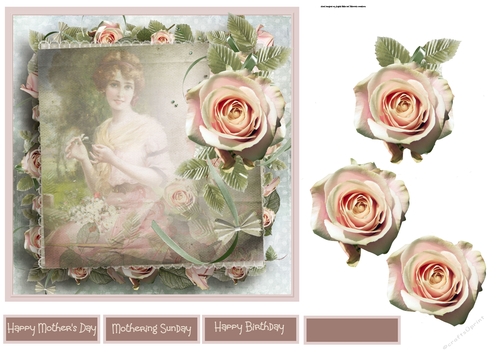Rose garden
