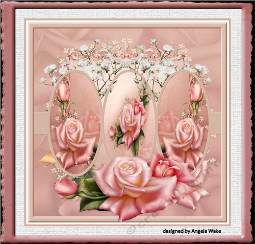 A mirror of roses