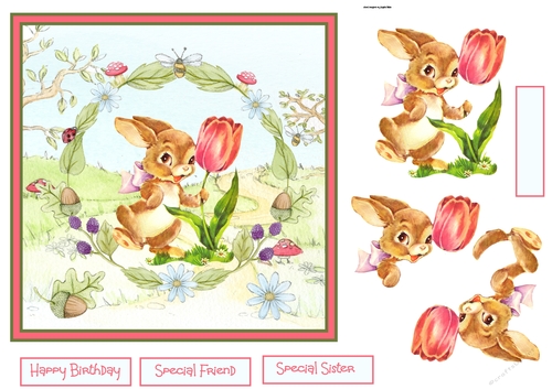 Tulip from a rabbit
