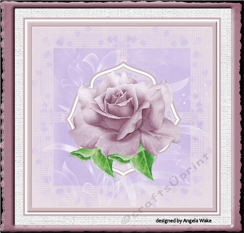Mothers day rose