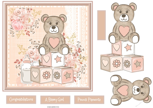 Welcome baby Girl