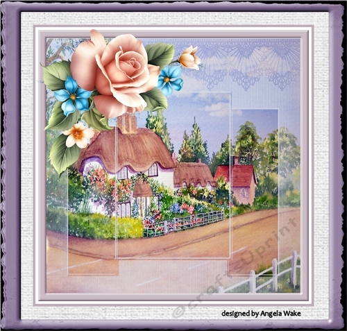 English cottage rose