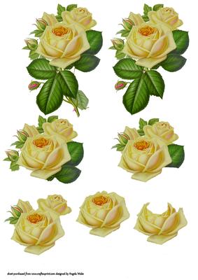 A Yellow Rose Spray of Beauty