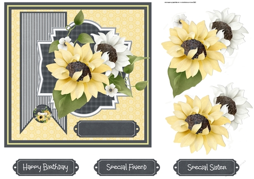 Sunflower with a smile