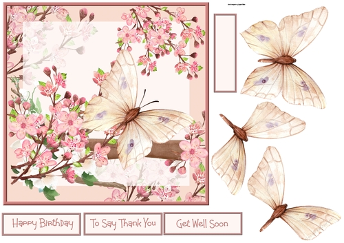 cherry blossom and butterfly