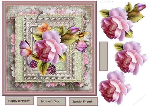 English rose and lace