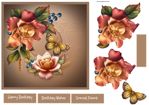 Autumn rose