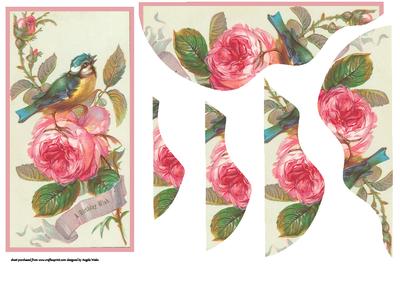 Rose and Chaffinch