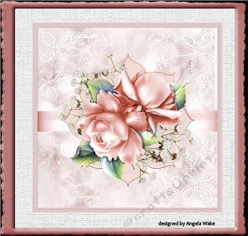 Pink rose and baby breath