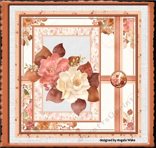 Peach and cream rose