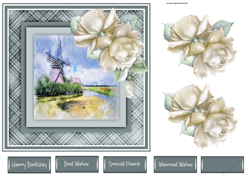 The windmill and roses