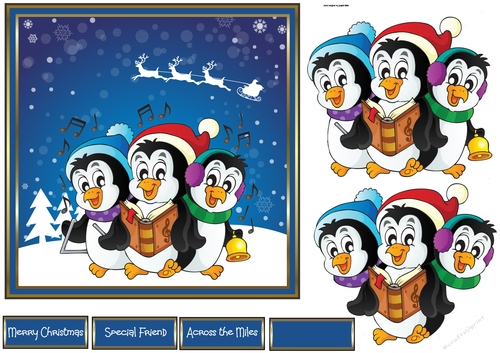 Penguin music trio