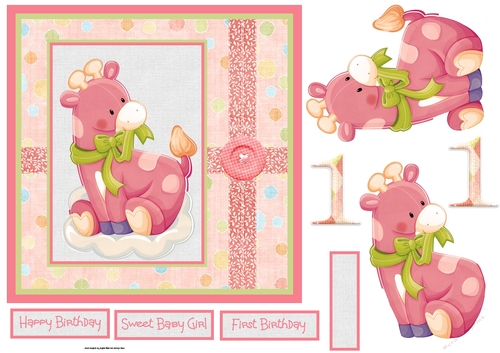 Baby girls first birthday