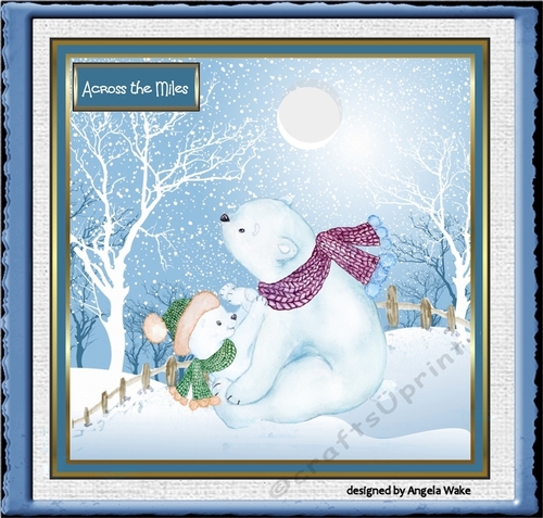 Polar bear and son