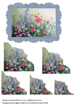 Flowers in Abundance