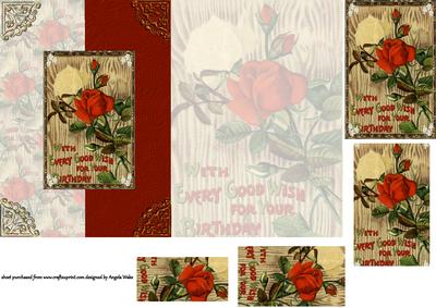 A White and Red Rose for You
