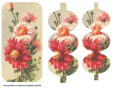 Dahlias Dl Size