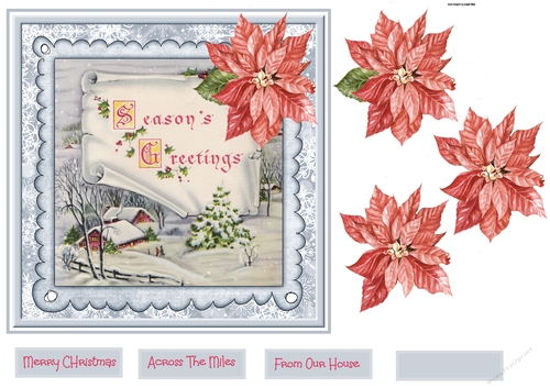 Country house and poinsettia