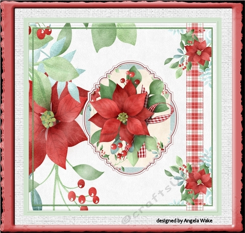 The red poinsettia