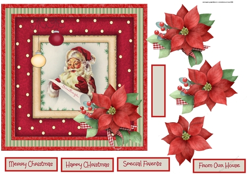 Santa Clause and poinsettia