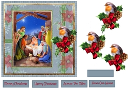 Robin and Nativity