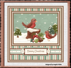 Robin redbreast