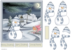 Snowman and robin