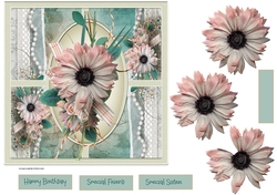 Pink daisy