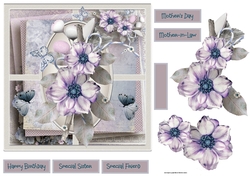 Purple anemones
